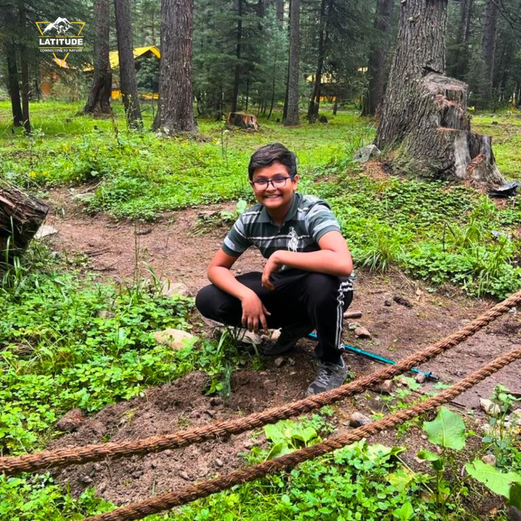 Nature’s Contribution Plantation of trees